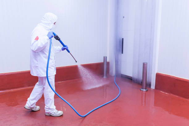 Best Oil Spill Cleanup  in De Kal, TX