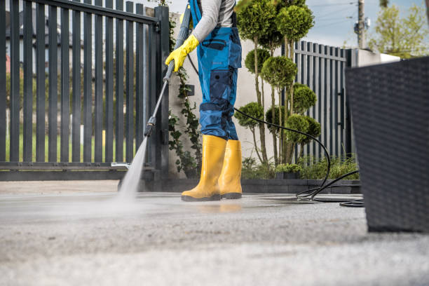 Best Roof Washing  in De Kal, TX